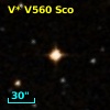 V* V560 Sco