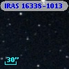 IRAS 16338-1013