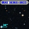 IRAS 16361-1022