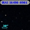 IRAS 16490-0901