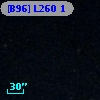 [B96] L260 1