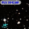 PLX 3842.00
