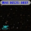 IRAS 16525-1037