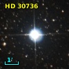 HD  30736