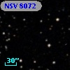 NSV  8072