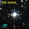 HD  31016