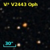 V* V2443 Oph