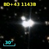 BD+43  1143B