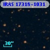 IRAS 17318-1031