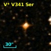 V* V341 Ser
