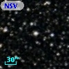 NSV  9956