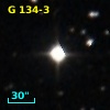 G 134-3