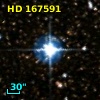 HD 167591