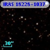 IRAS 18228-1037