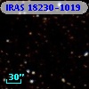 IRAS 18230-1019