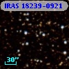 IRAS 18239-0921