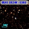 IRAS 18246-1101