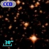 CCDM J18334-1026C