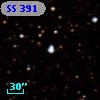 SS 391