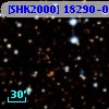 [SHK2000] 18290-0924