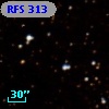 RFS  313