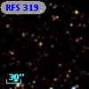 RFS  319