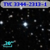 TYC 3344-2313-1