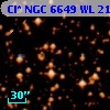 Cl* NGC 6649     WL     217