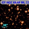 Cl* NGC 6649     WL     225