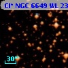 Cl* NGC 6649     WL     238