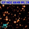 Cl* NGC 6649     WL     295