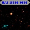 IRAS 18310-0856