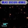 IRAS 18318-0901
