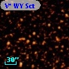 V* WY Sct