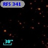 RFS  341