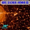 IDS 18368-0909 D