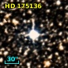 HD 175136