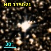HD 175021