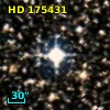 HD 175431