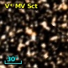 V* MV Sct