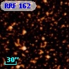 RRF  162