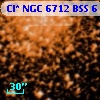 Cl* NGC 6712    BSS       6
