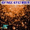 Cl* NGC 6712    BSS       8