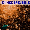 Cl* NGC 6712    BSS      13