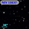 NSV 11637