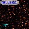 NSV 11422
