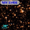 NSV 11456