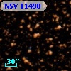 NSV 11490