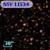NSV 11534
