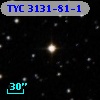 TYC 3131-81-1